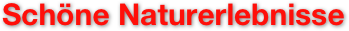 Schöne Naturerlebnisse